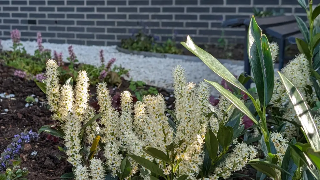Detail voortuin aanleg